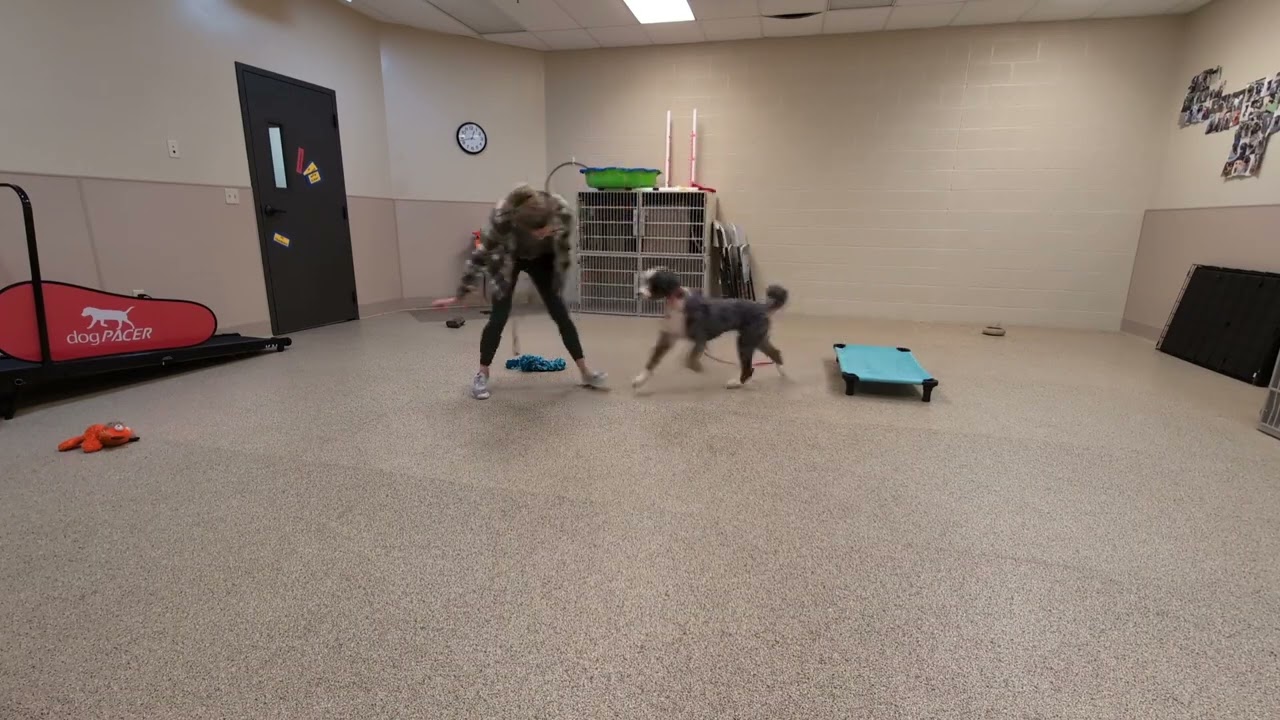 Bubba Moose Training 8.2.24