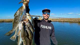 2 Hours WHACKING Speckled Trout in the Marsh!