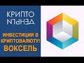 Инвестиции в криптовалюту (часть 7) - воксель.