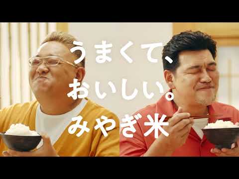 "Tastes great, delicious. Miyagi Rice" version (30 seconds)
