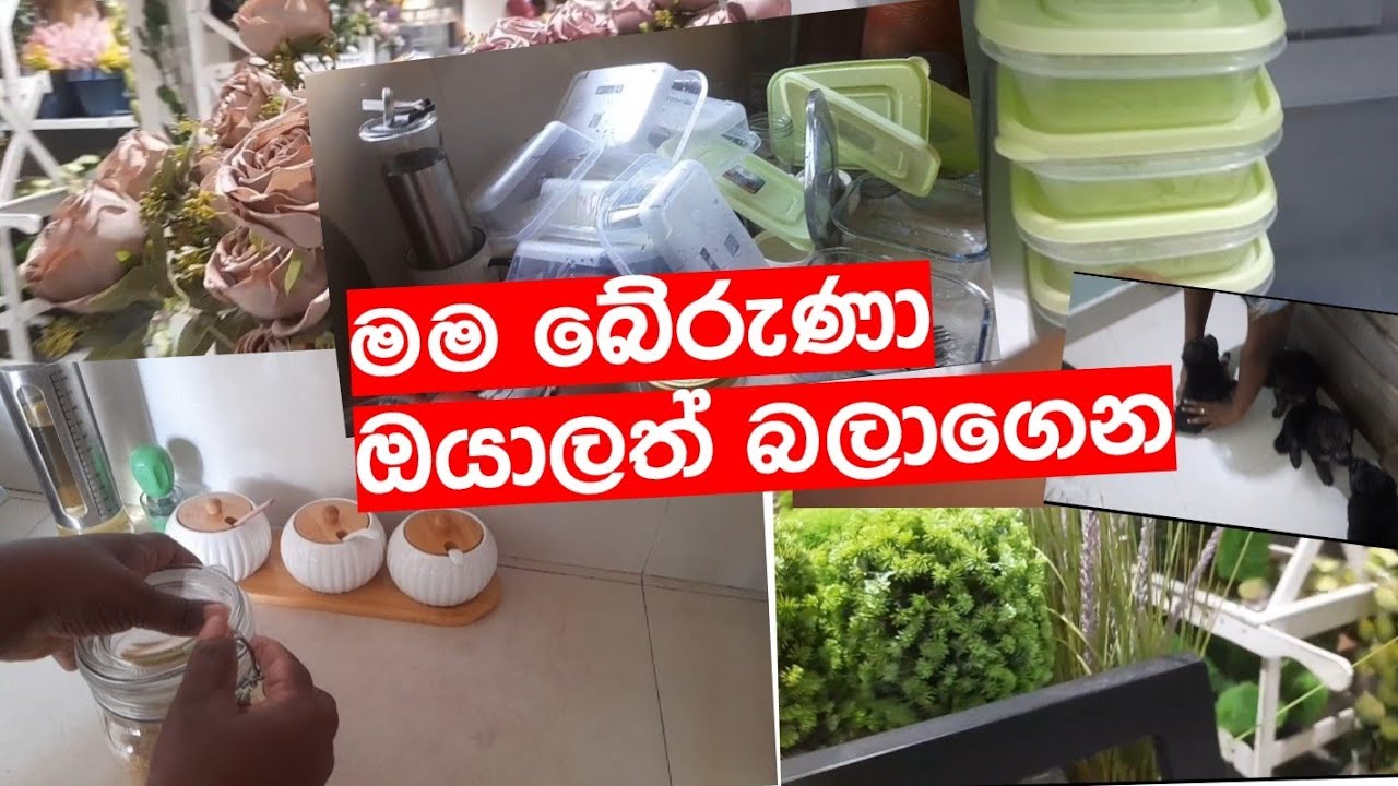 අවුරුද්දක් ඉවසලා ගත්තු දේ
