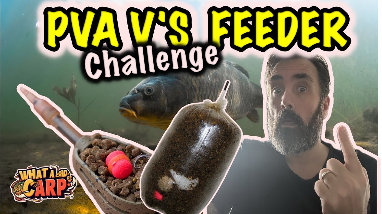 Method Feeder vs. PVA Bags: The Ultimate Showdown for Carp Anglers