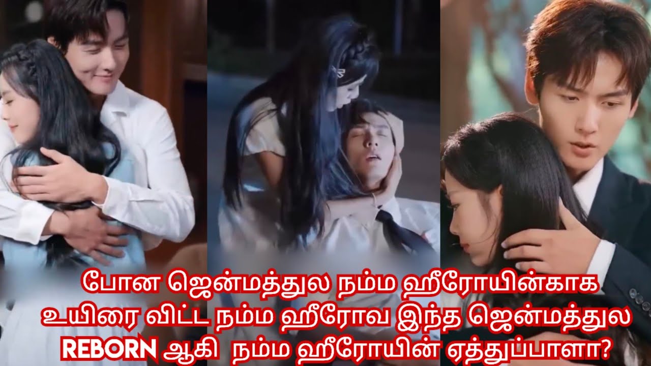 Reborn love story ♥️/ movie/mini drama/Tamil review/ Tamil explanation.🔥💯