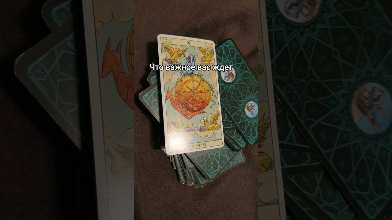 Не пропусти самое важное 