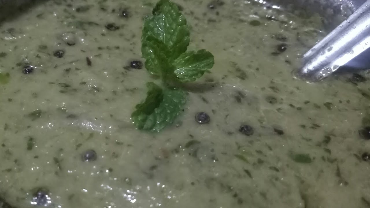 Pudhina Chutney Mint leaves Chutney recipe Mint Chutney Easy