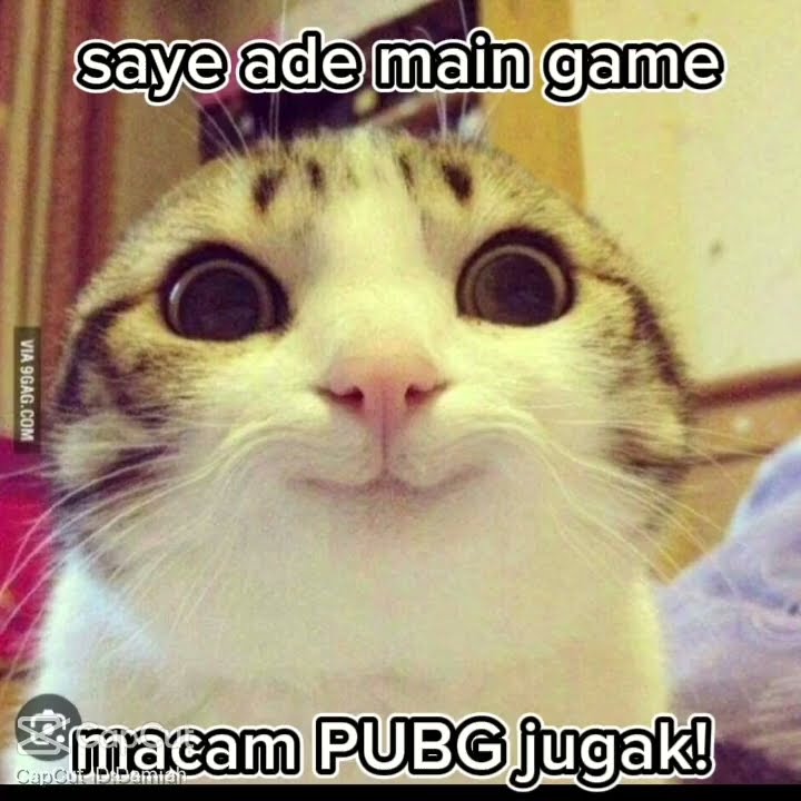 pov:abg main ml eh  #fypシ #memes #roadto600subs #shorts