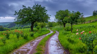 🔴 Cozy in Germany Beautiful Relaxing music 🎵 Sleep Music 💤 Stress relief Music, Meditation Music