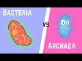 Difference between bacteria and archaea