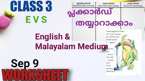Class 3 Evs Worksheet September 9/Itsvicters Worksheet/ Teaching Corner By Safna