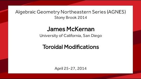 Toroidal Modifications - James McKernan
