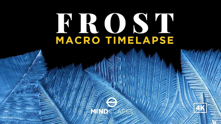 FROST | A Macro Timelapse - Stunning Ice Crystals Forming in Breathtaking Detail
