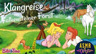 Sanft Einschlafen mit Bibi & Tina - ASMR Klangreise im Falkensteiner Forst 