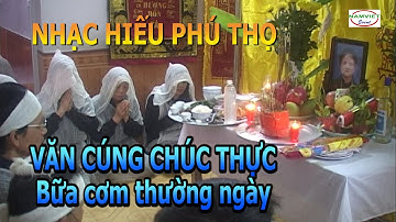 Văn cúng chúc thực bữa cơm thường ngày đoàn nhạc hiếu Phú Thọ | Nam Việt TV