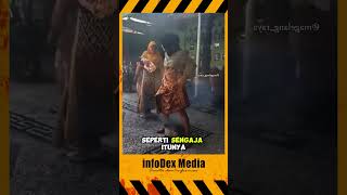 Download Lagu wanita ini lagi ngapaijn ya MP3