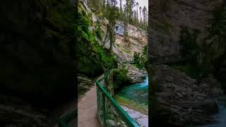 Johnston Canyon in Banff National Park, Canada #shorts #nature #hiking #banff #alberta #outdoors