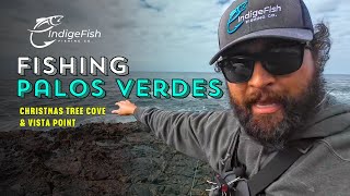 Surf Fishing the Coves at Vista Point! screenshot 1