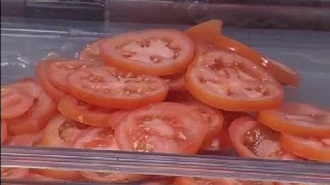 Hobart FP250 7/32" Slicer Plate Slicing Tomatoes