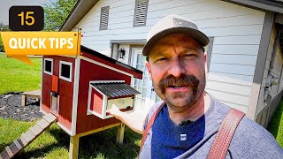 15 Backyard Chicken Coop Tips Every Beginner Needs to Know