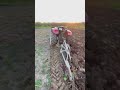 Traktör’e tarla dayanmıyor. #traktor #tractor #farm #farming #video #videos #shortvideo #türkiye