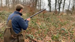 Klassisk roughshooting i Danmark / Fasanjagt med springer spaniel Pyrrhic Bakari af Dauntless