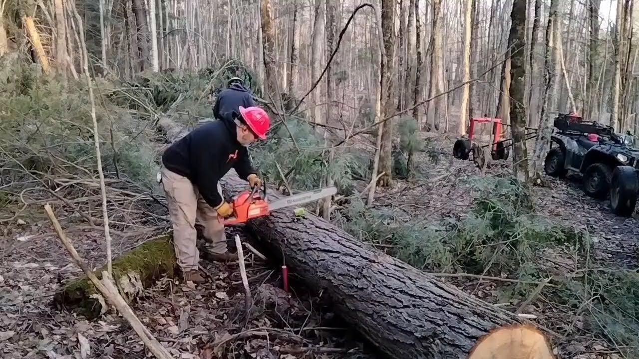 Sawmill & Forestry Round Table #10