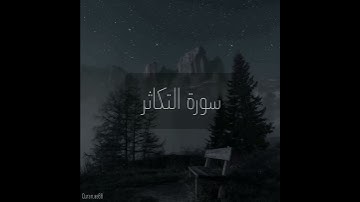 سورة : التكاثر القارئ : رعد الكردي