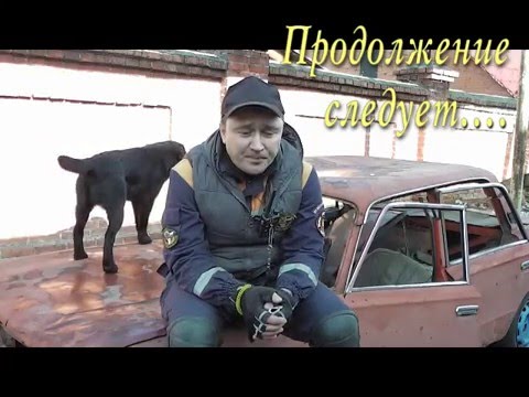 как часто надо мыть собаку