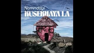 Nomndayi- Kusekhaya la