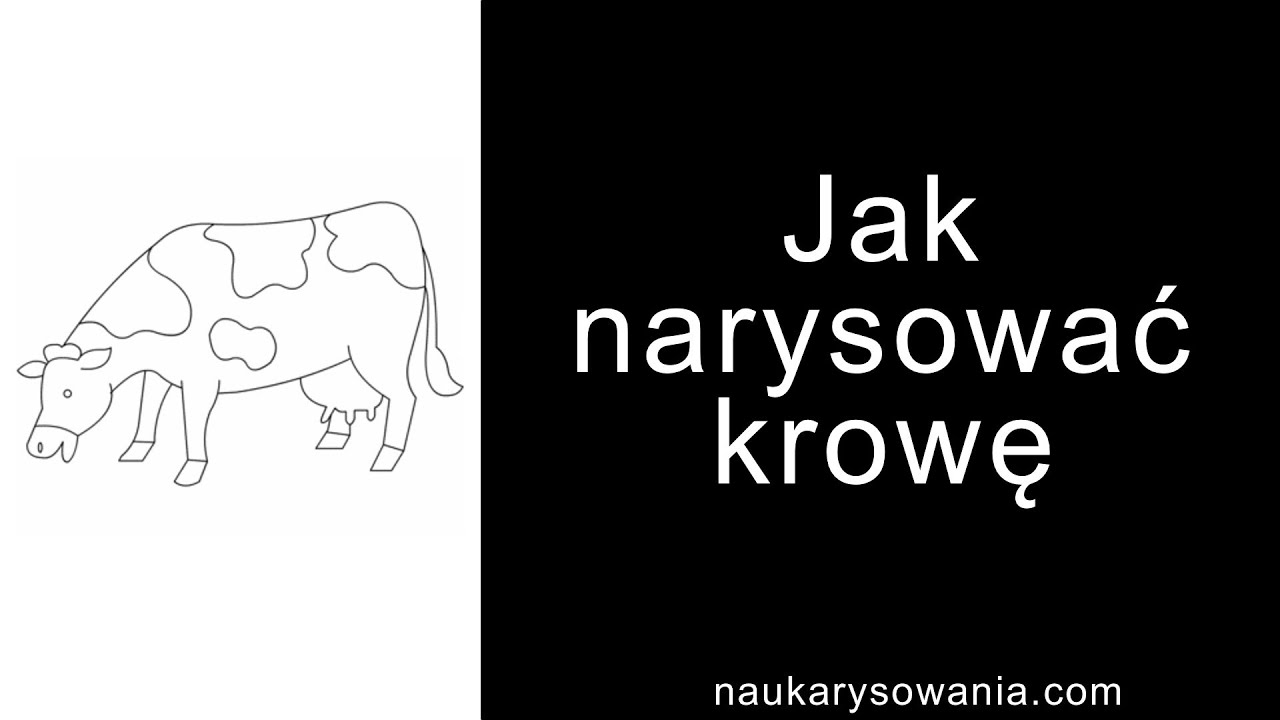 Jak Narysować Krowę Rysowanie Krowy Krok Po Kroku
