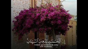 ماهر المعيقلي 🌝🤍 اجمل حالات واتس اب دينية سورة هود فيديو قصيره