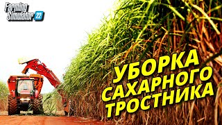 ✔Фс 22 Вот Он Сахарный Тростник - Это Жесть 😨😨😨 #14  🅻🅸🆅🅴 #Фс22 #Fs22