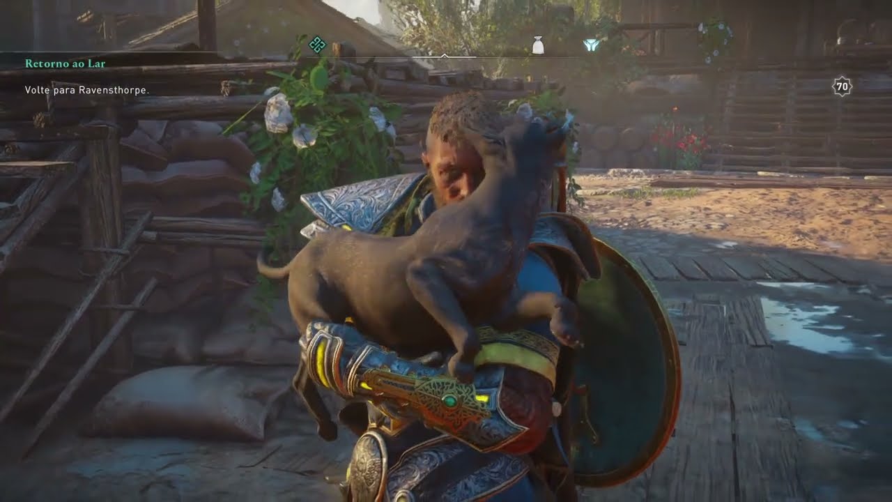 Assassin's Creed Valhalla - Achievement Pat All The Cats in Evreux