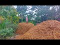 Gram Bangla Traveler is live