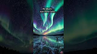 Northern Lights Over Frozen Lake in Norway live🌌Arctic Winds #relax #asmr #live #beautiful  #nature