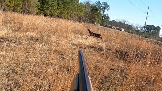 SC Deer Hunting With Dogs 2023| 13 Deer Killed| Buck Kill Shot On Cam