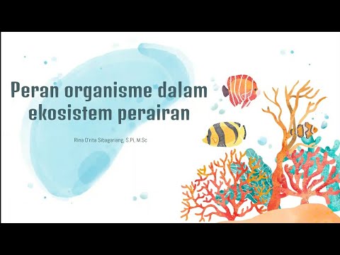 Peran organisme dalam ekosistem perairan