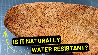 Beaver Tail Leather For Leather Working