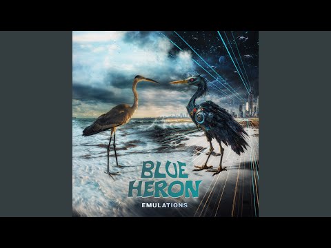 Swansong (Live at KUNM)