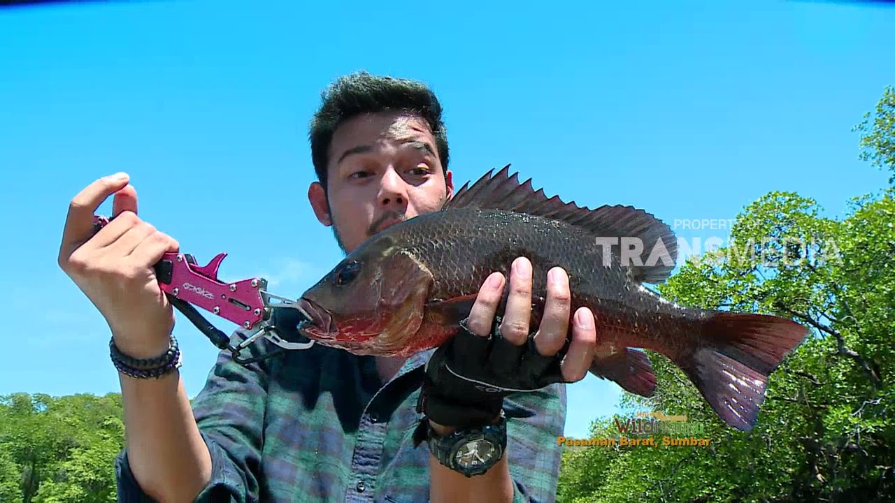 JEJAK PETUALANG | BENTENG ABRASI AIR BANGIS (27/12/17) 2-3