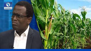 Agriculture Value Chain: Pros And Cons Of Middlemen - AfricanFarmer Mogaji