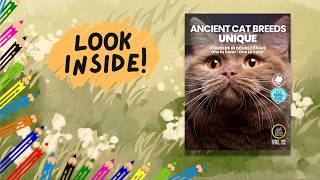 Ancient cat breeds Coloring Book #catbreeds #coloringbook #catsforkids