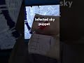 @Complexanimations  infected sky