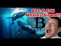 BTC & ETH Whales Signal Alert! Both are giving us Major Signals! #crypto #bitcoin #ETH #trading