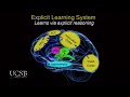 The Remarkable Learning Abilities of the Human Brain