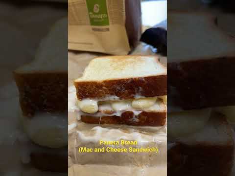 Mac And Cheese Sandwich - Panera Bread #shorts #panerabread #macandcheese #fyp #fypシ #foodie