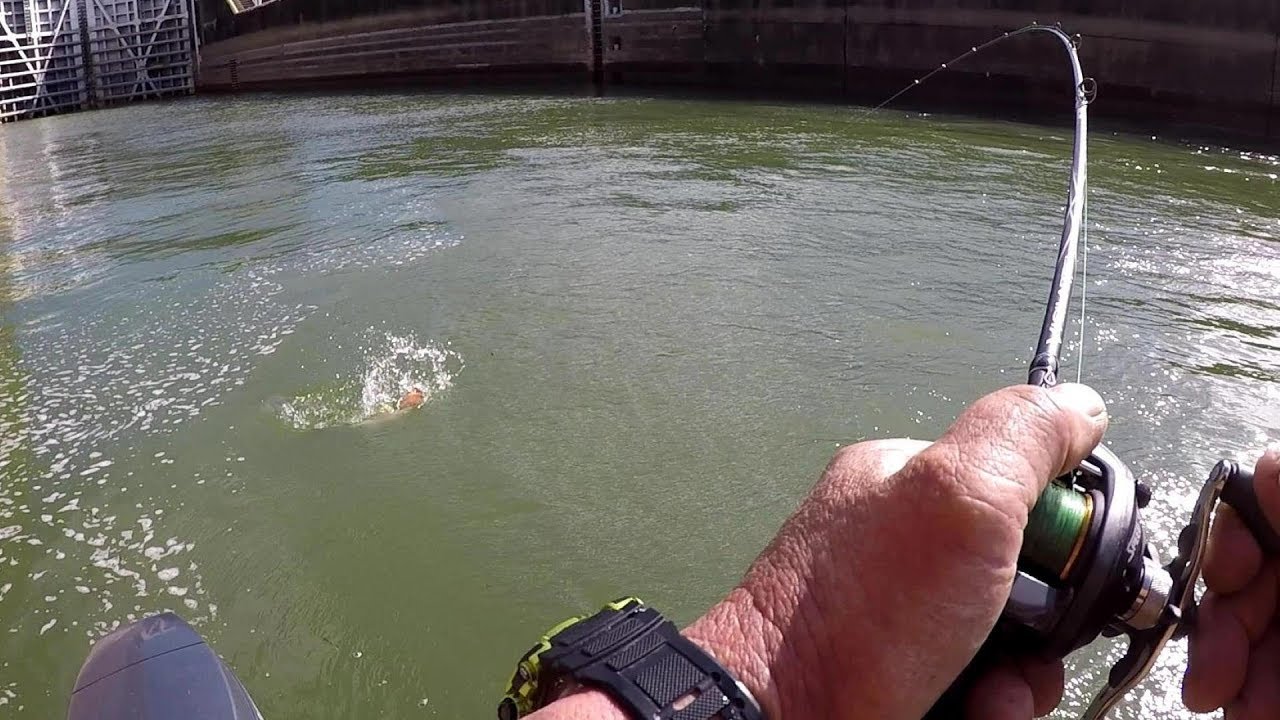 Winter BIG BASS Fishing 2019! Deep Water Rig / Setup Bass Manager