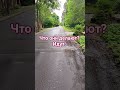 Что они делают? Идут. | РКИ