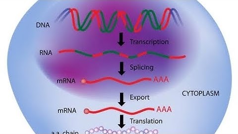 Post transcriptional modification