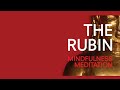 Mindfulness Meditation with Tracy Cochran 03/21/2024