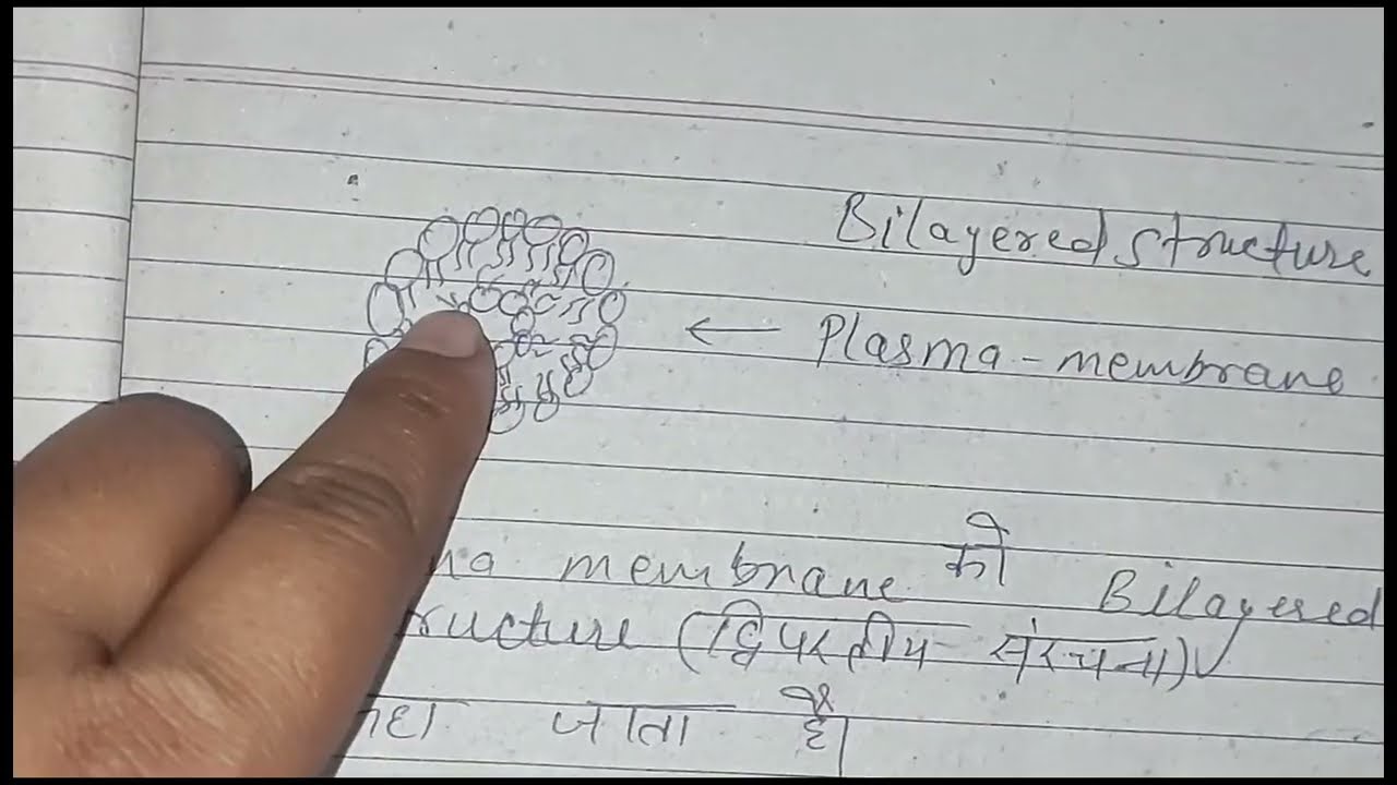 Topic - cell organelles, cell wall , cell membrane ,fluid mosaic model, Class -3